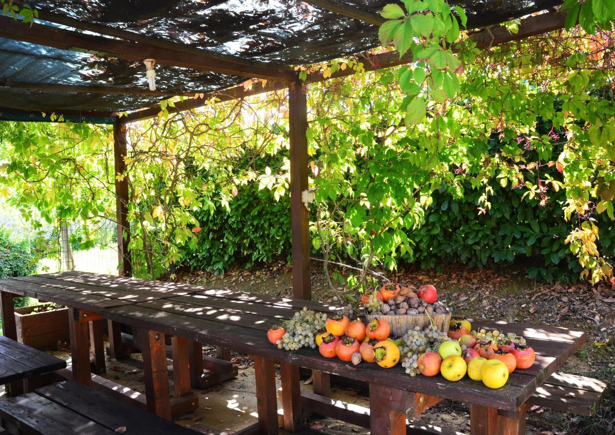 Country House Nonna Rana Cannara Екстериор снимка